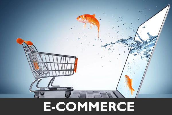 Ecommerce