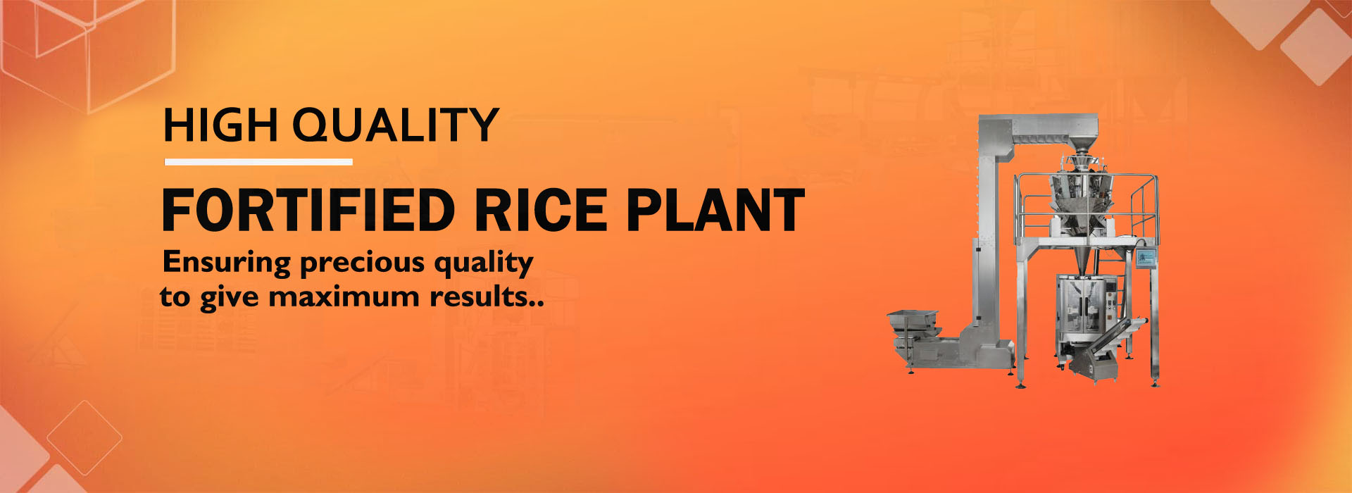 Fortified Rice Plant